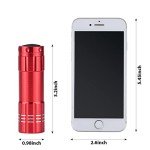 5 Pack Mini Flashlights with Lanyard & Batteries