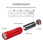 4-Pack LED Flashlights with AAA Batteries Included