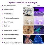 2 Pack UV Flashlight for Pet Urine Detection