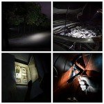 Compact 90 Lumens Keychain Flashlight - Black