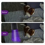 2 Pack UV Flashlight for Pet Urine Detection