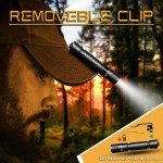 Compact Mini LED Flashlight with 3 Modes