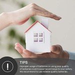 Portable UV Flashlight for Pet Stain Detection