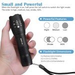 2-Pack Bright LED Flashlights for Home & Travel