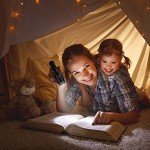 2-Pack Bright LED Flashlights with Batteries