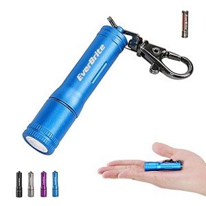 Bright Mini Keychain LED Flashlight - Blue