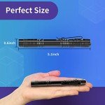 2 Pack UV Black Light Flashlight - Mini Pen Light