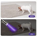 2 Pack UV Black Light Flashlight - Mini Pen Light