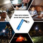 Bright Mini Keychain LED Flashlight - Blue