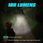 Compact LED Mini Flashlight - 3 Modes, Water-Resistant