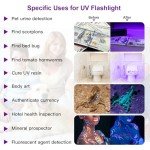2 Pack UV Black Light Flashlight - Mini Pen Light