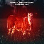 2-Pack Red LED Flashlights for Night Use