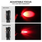 2-Pack Red LED Flashlights for Night Use