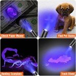 Multi-Function LED Pocket Flashlight with UV Light