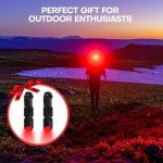 2-Pack Red LED Flashlights for Night Use
