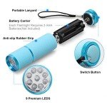 Glow in the Dark LED Flashlight – Assorted Colors