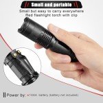 2-Pack Red LED Flashlight for Night Use