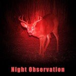 2-Pack Red LED Flashlight for Night Use