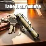 2 Pack UV Flashlight Mini Penlights for Detection