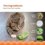 Crunchy Pickle Kicker Catnip Toy for Cats