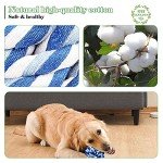 Wellbro 3-Pack Cotton Rope Pet Chew Toy