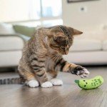 Crunchy Pickle Kicker Catnip Toy for Cats