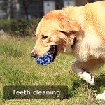 Wellbro 3-Pack Cotton Rope Pet Chew Toy