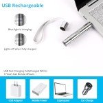 Waputne Interactive Cat Toy with Rechargeable Pointer