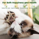 3-Pack Catnip Toys for Happy Indoor Cats