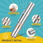 USB Rechargeable Cat Toy Pointer with Lights