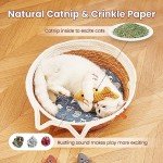 Interactive Catnip Fish Toys – 3 Pack