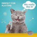 USB Rechargeable Cat Toy Pointer with Lights