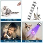 Interactive USB Rechargeable Cat Toy Pointer