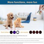 Interactive USB Rechargeable Cat Toy Pointer