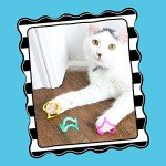 Petmate Cat Crazies Interactive Toy Pack