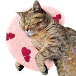 Soft U-Shaped Cat Cuddler Pillow - Pink Heart
