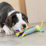 Cool Teething Stick for Dogs - Freezable Chew Toy
