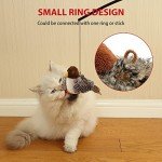 Interactive Electronic Chirping Bird Toy for Cats