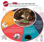 Vermont Fleece Rabbit Dog Toy - Squeaky Plush