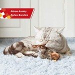 Interactive Electronic Chirping Bird Toy for Cats