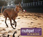 Small Brown Lamb Chop Squeaker Dog Toy