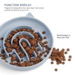 Interactive Silicone Slow Feeder Bowl for Pets