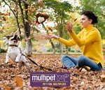 Small Brown Lamb Chop Squeaker Dog Toy