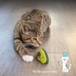 Avocato Catnip Chew Toy for Dental Health