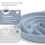 Interactive Silicone Slow Feeder Bowl for Pets