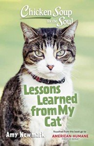 Cat Tales: 101 Stories of Friendship & Fun