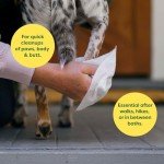 Lavender Scented Hypoallergenic Dog Wipes 100 Count