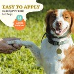 Paw Soother Balm for Dogs - 0.15 oz
