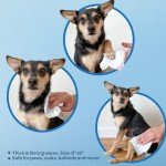 Pet Grooming Wipes for Dogs and Cats - 100 Pack