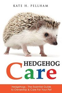 Hedgehog Care: Your Essential Pet Guide